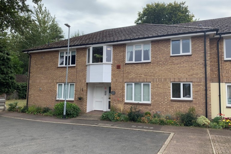 The Orchard, Brandon