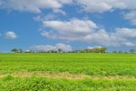 Images for Hinderclay Road, Wattisfield