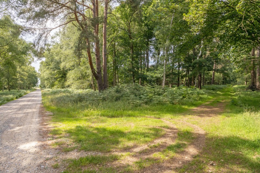 Images for Roudham Junction, Bridgham