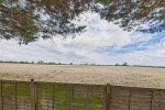 Images for Black Dyke Road, Hockwold